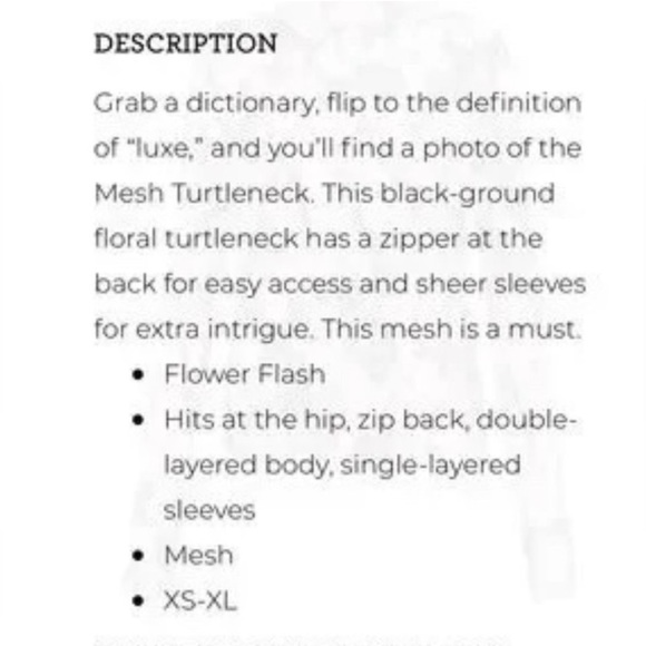 NWT. | Cabi 4422 Mesh Turtleneck - Picture 3 of 5